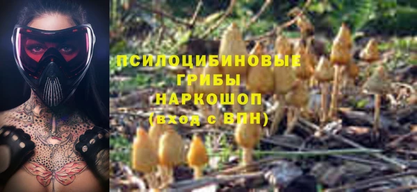 скорость Осинники