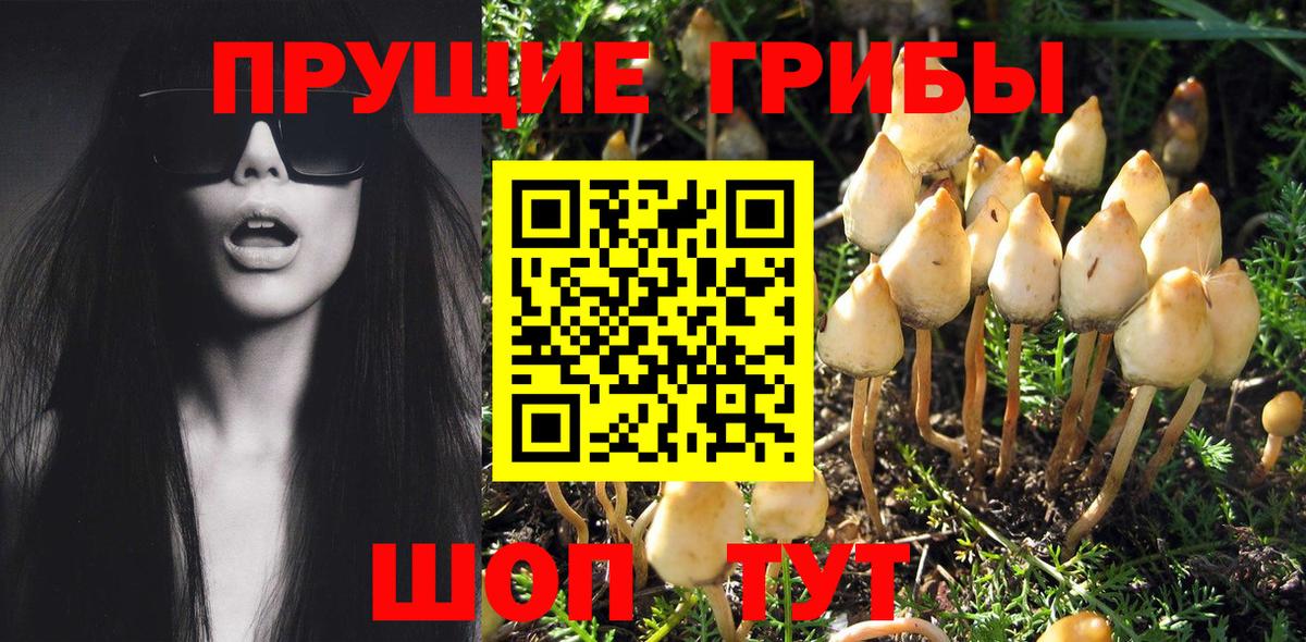 Галлюциногенные грибы MAGIC MUSHROOMS  Вход с VPN  Галлюциногенные грибы MAGIC MUSHROOMS  Сарапул 